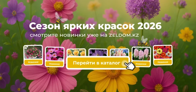 Специальное предложение: скидки на семена овощей до 50%